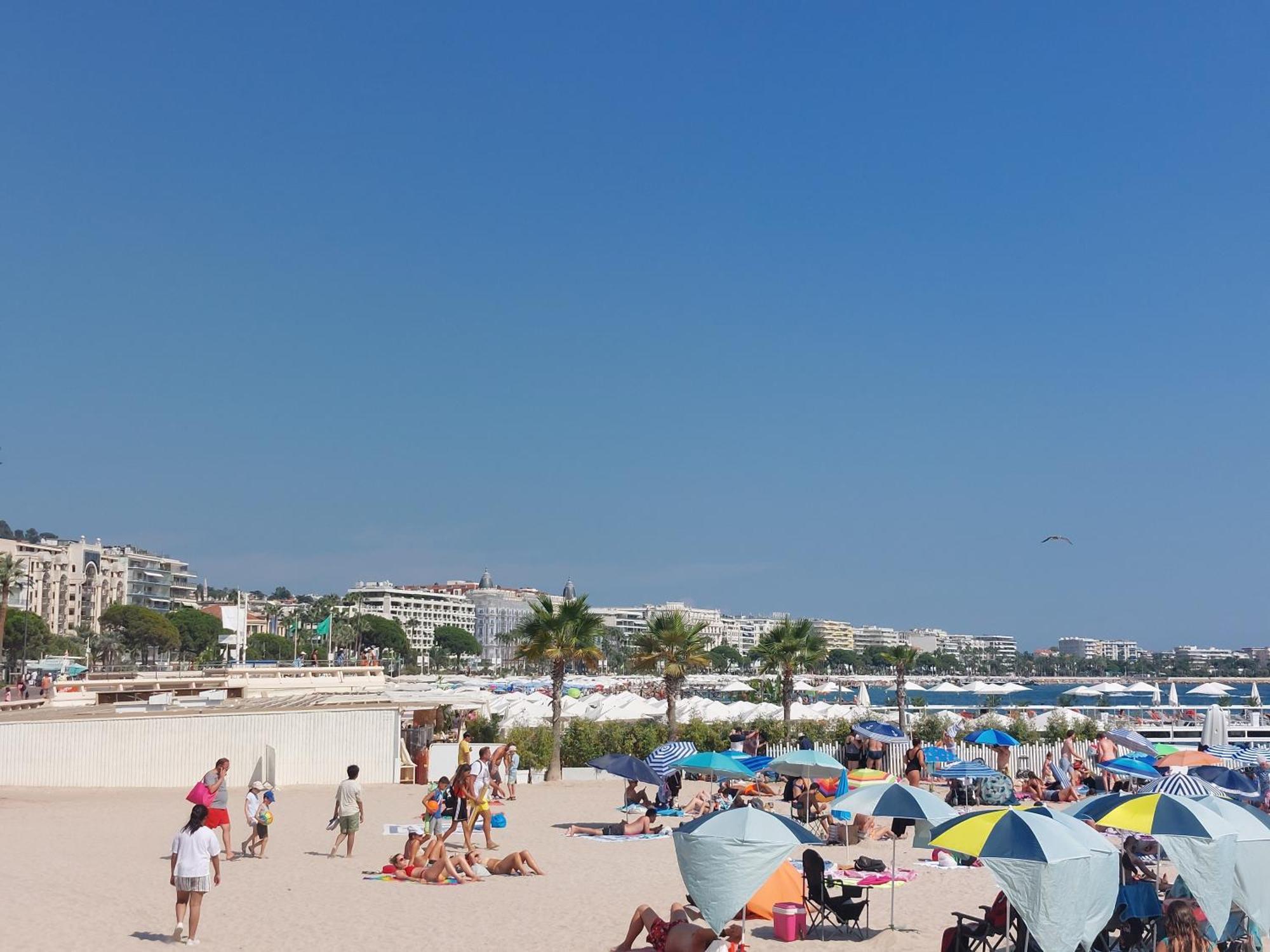 Cavell - * Cannes